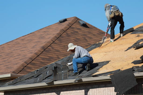 Best Metal Roofing Installation  in Avilla, AR