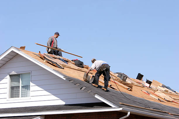 Best Skylight Installation and Repair  in Avilla, AR